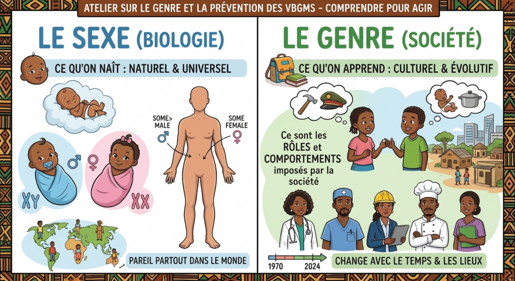 Infographie pédagogique comparant le sexe et le genre. À gauche, le sexe est présenté comme une réalité biologique (naissance, corps, chromosomes), naturelle et universelle. À droite, le genre est présenté comme une construction sociale liée aux rôles, comportements et attentes de la société, qui évoluent selon les cultures et les époques. Des illustrations montrent des enfants, des métiers et des situations de vie pour illustrer ces différences.